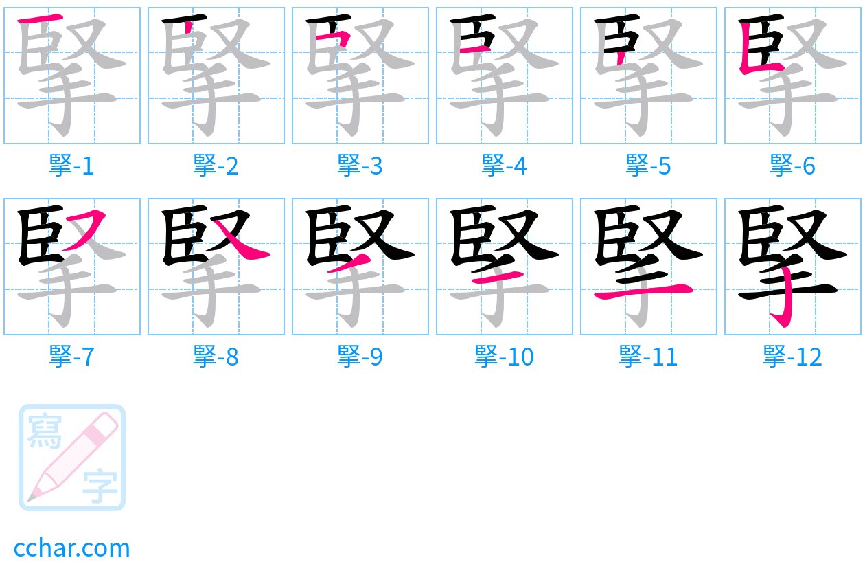 掔 stroke order step-by-step diagram