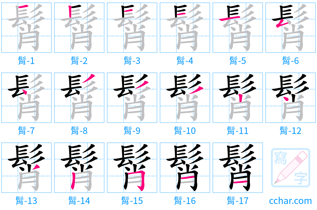 髾 stroke order step-by-step diagram