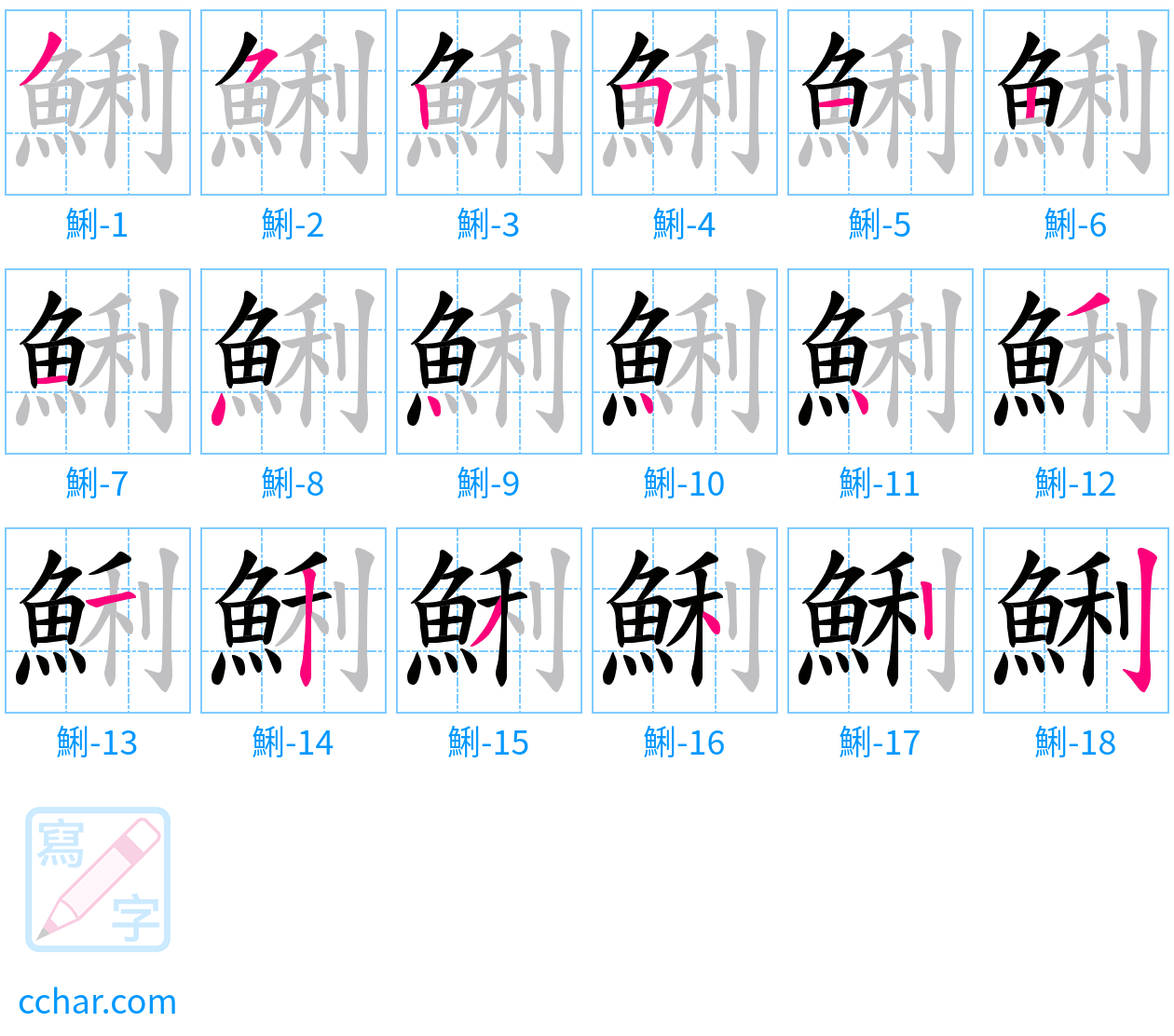 鯏 stroke order step-by-step diagram